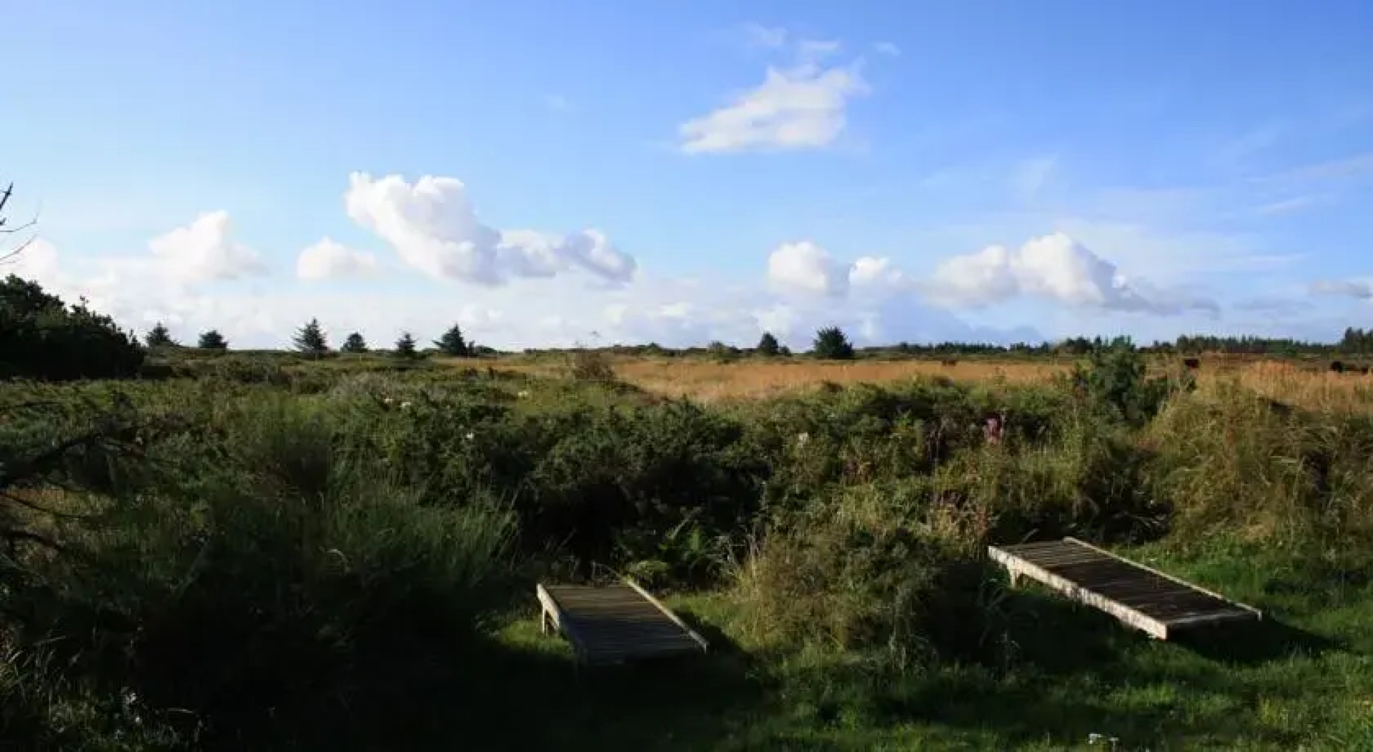 Slettestrand Holiday House - KB Kjeldgaardsvej 3 - ID 304