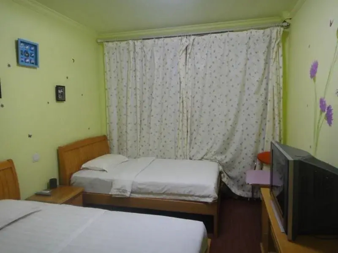 Raintree Backpacker Hostel