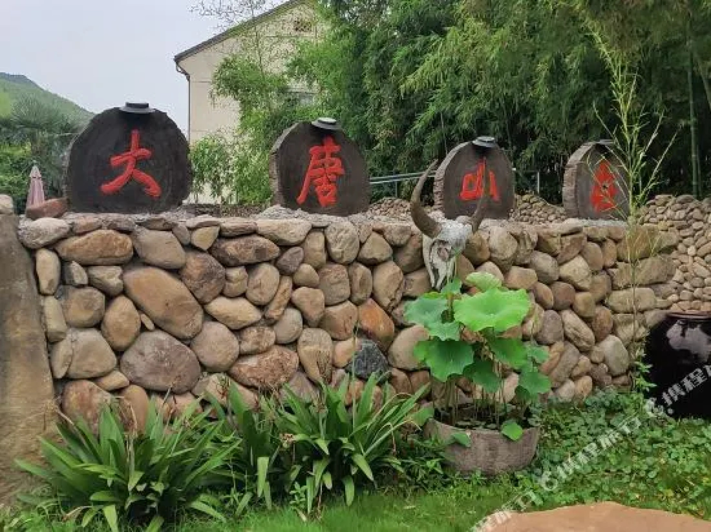 Da Tang Farm Stay