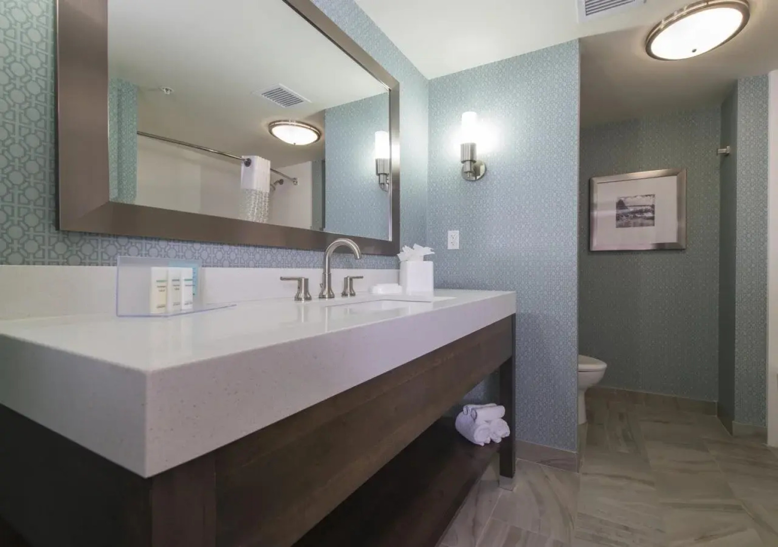 Hampton Inn Greenville/I-385 Haywood Mall