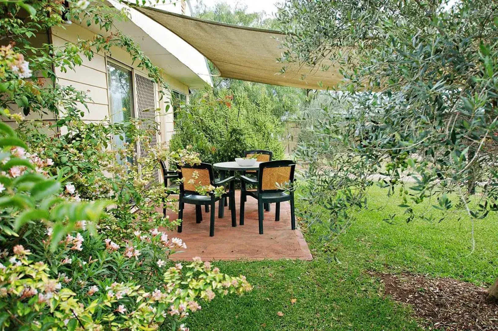 Starline Alpacas Farmstay Resort