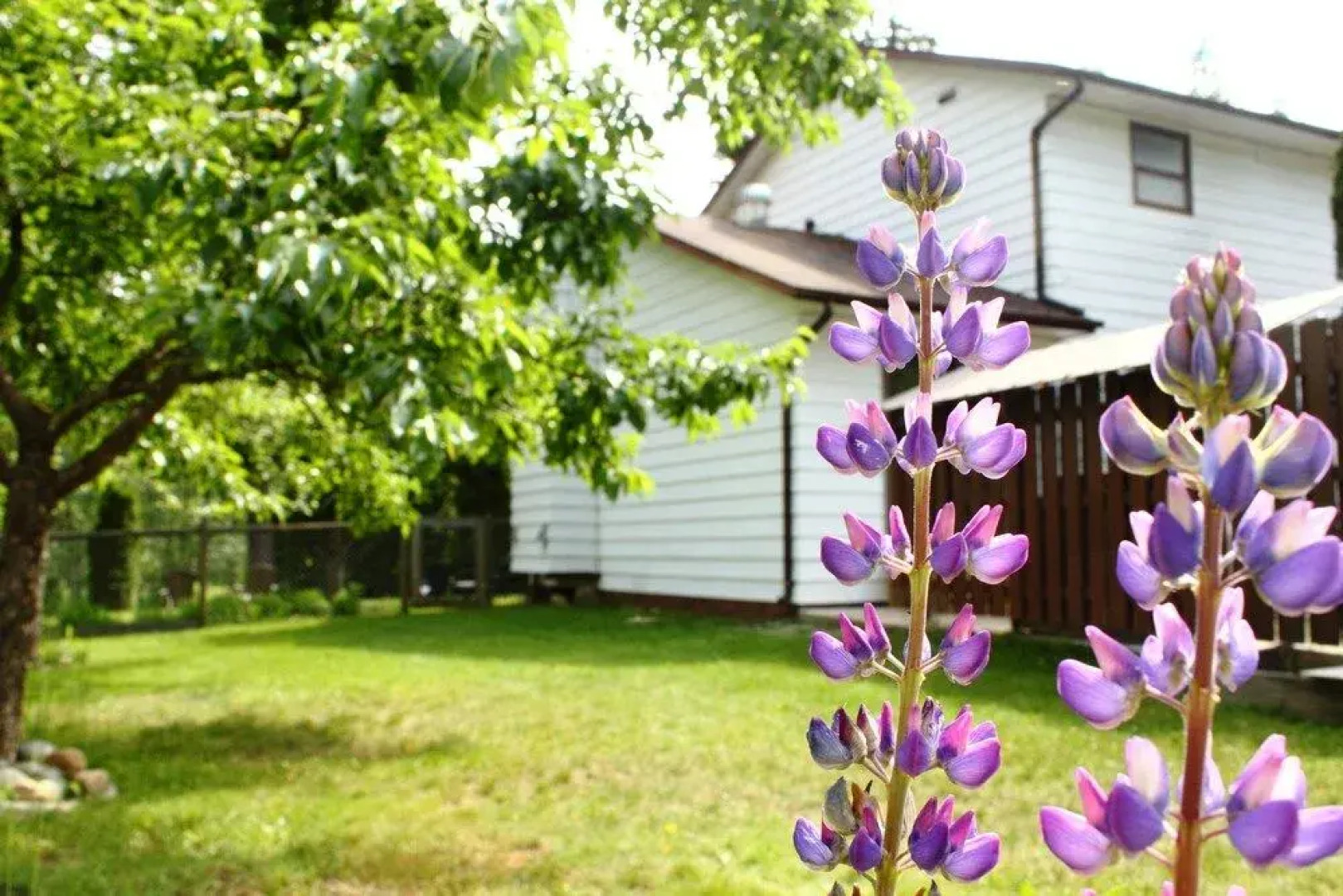 Valley Hideaway Guest House