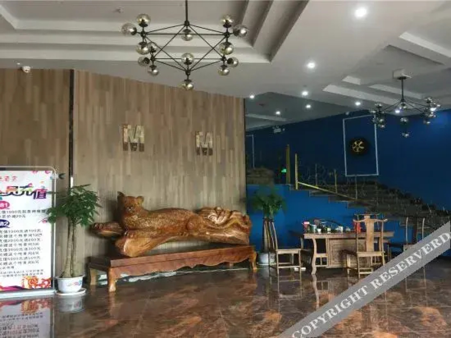 Cat Hotel (Xingguo Dongcheng International Branch)