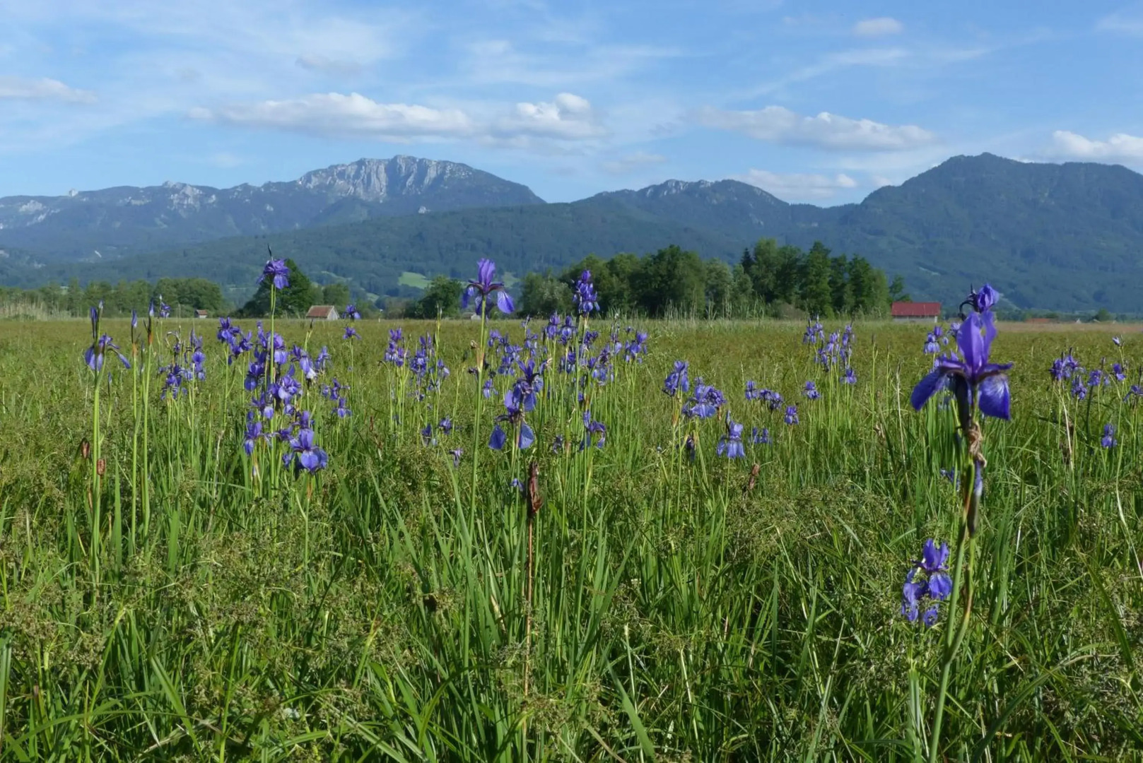 Zentrum für Umwelt und Kultur - Gästehaus und Jugendbildungseinrichtung im Maierhof
