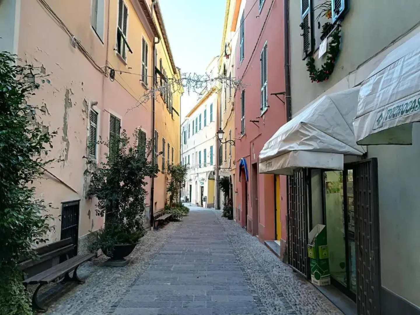 i fiori di santo stefano