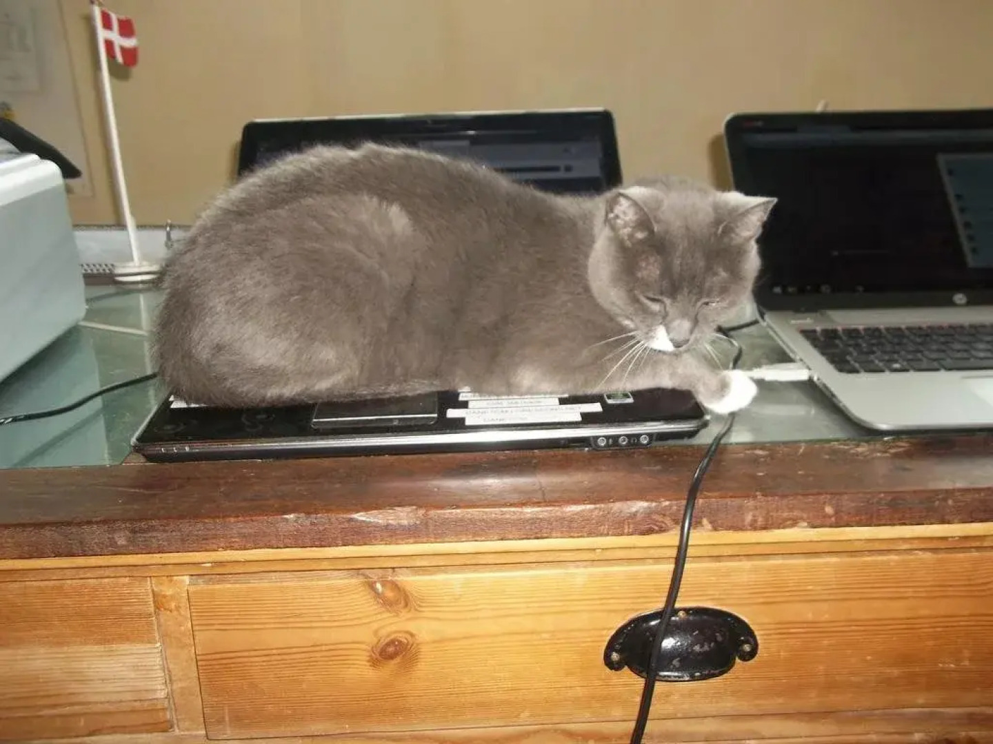 Børglum Mejeri Hotel B&B