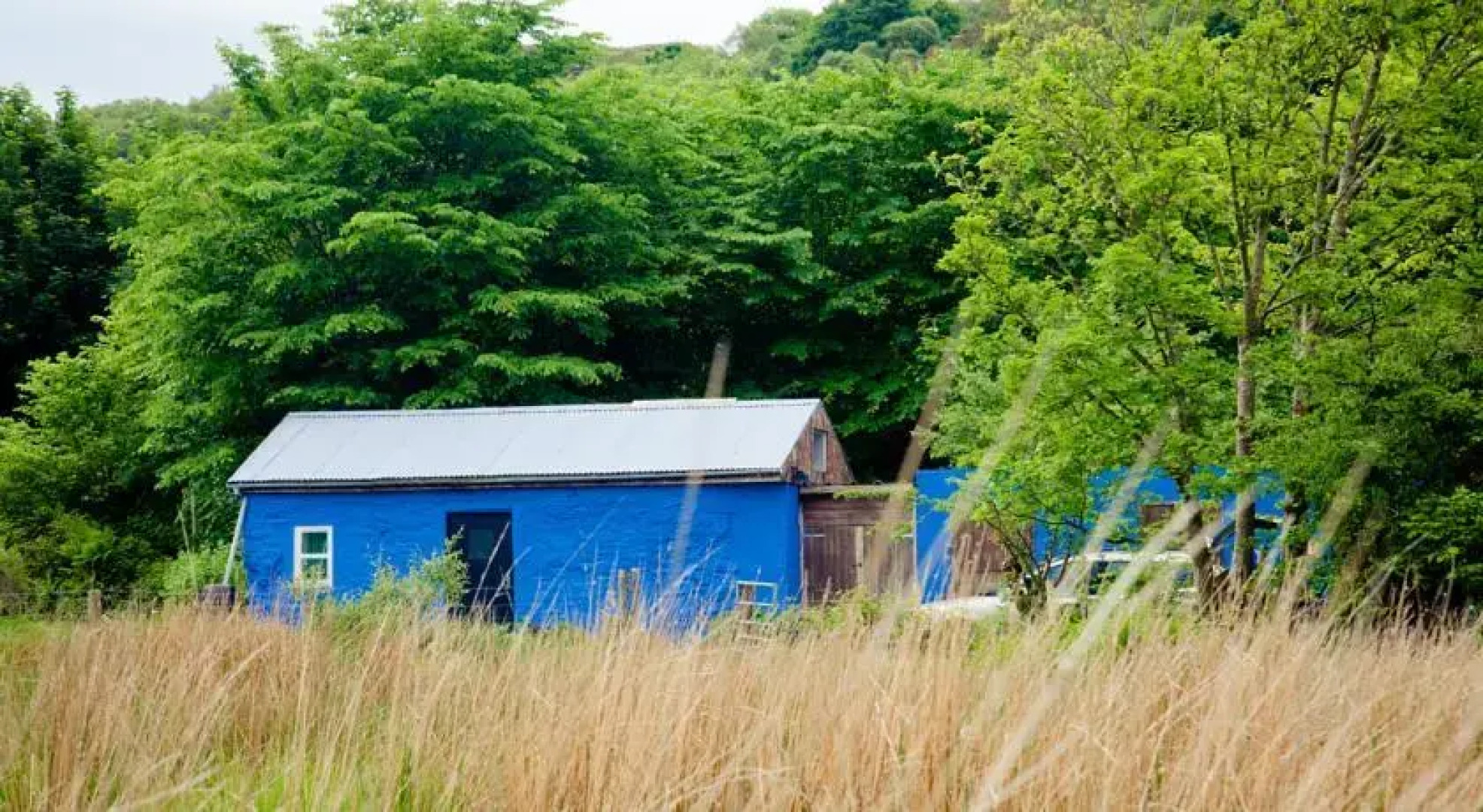 The Snowdon Inn - Y Fricsan