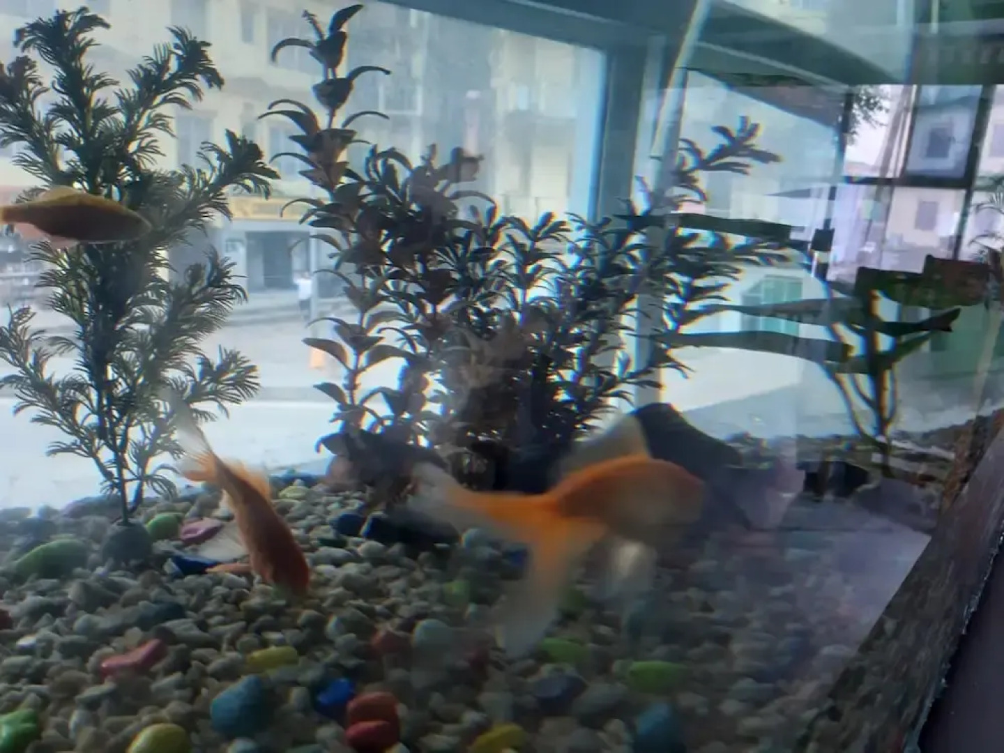 Centennial Hotel 2008