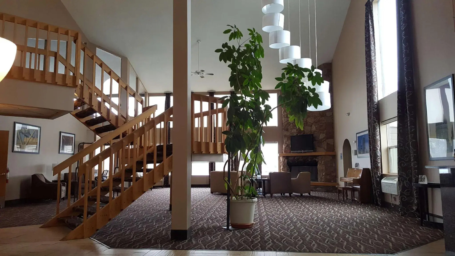 Best Western Indian Oak