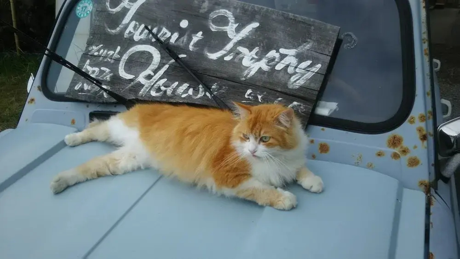 Awaji Tourist Trophy House Hostel