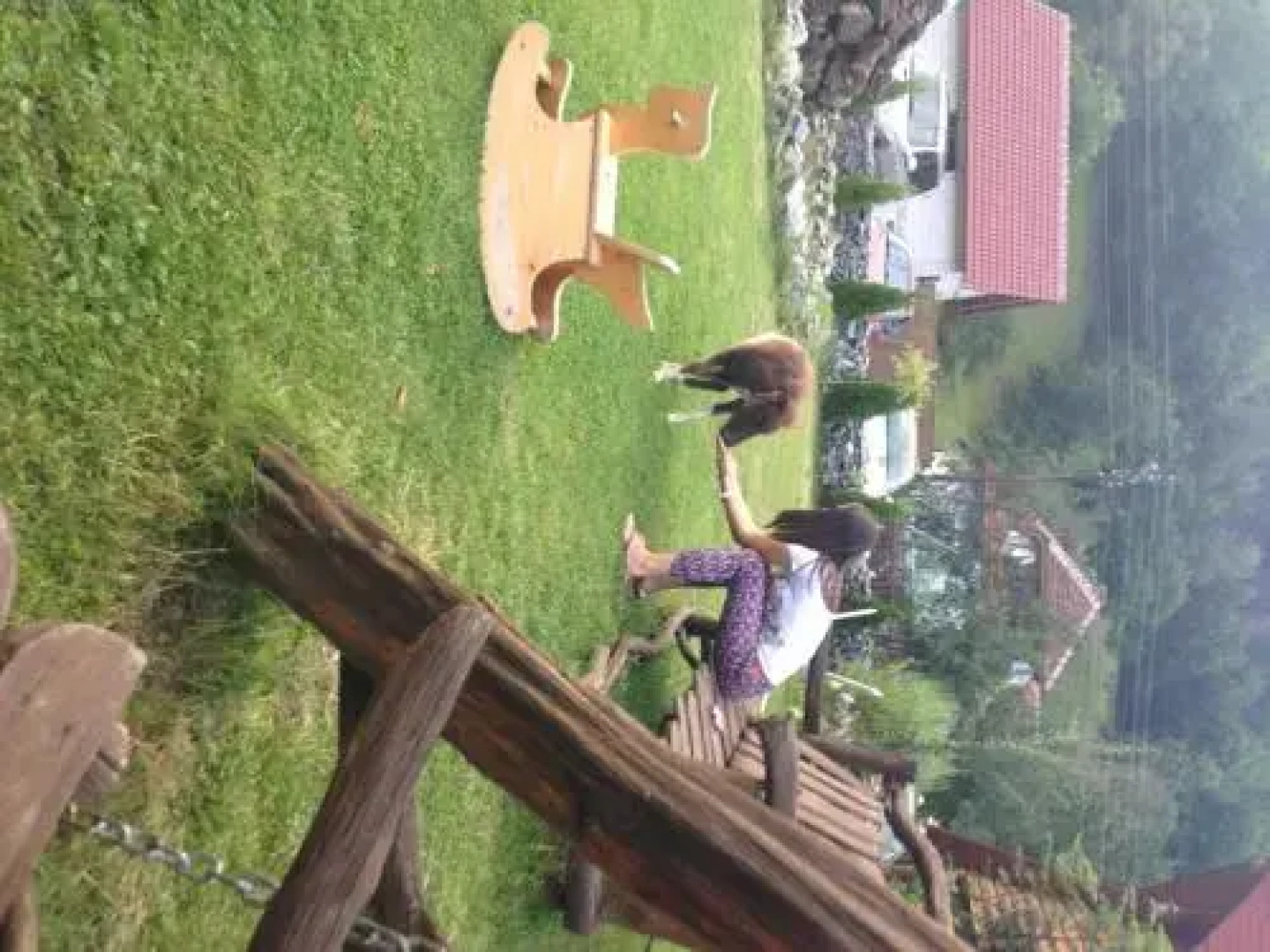 Pensiunea Vidra de Sus