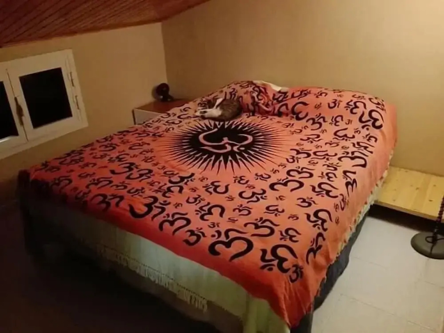 Oasi Lega Internazionale Vigilanza Sez. Palermo