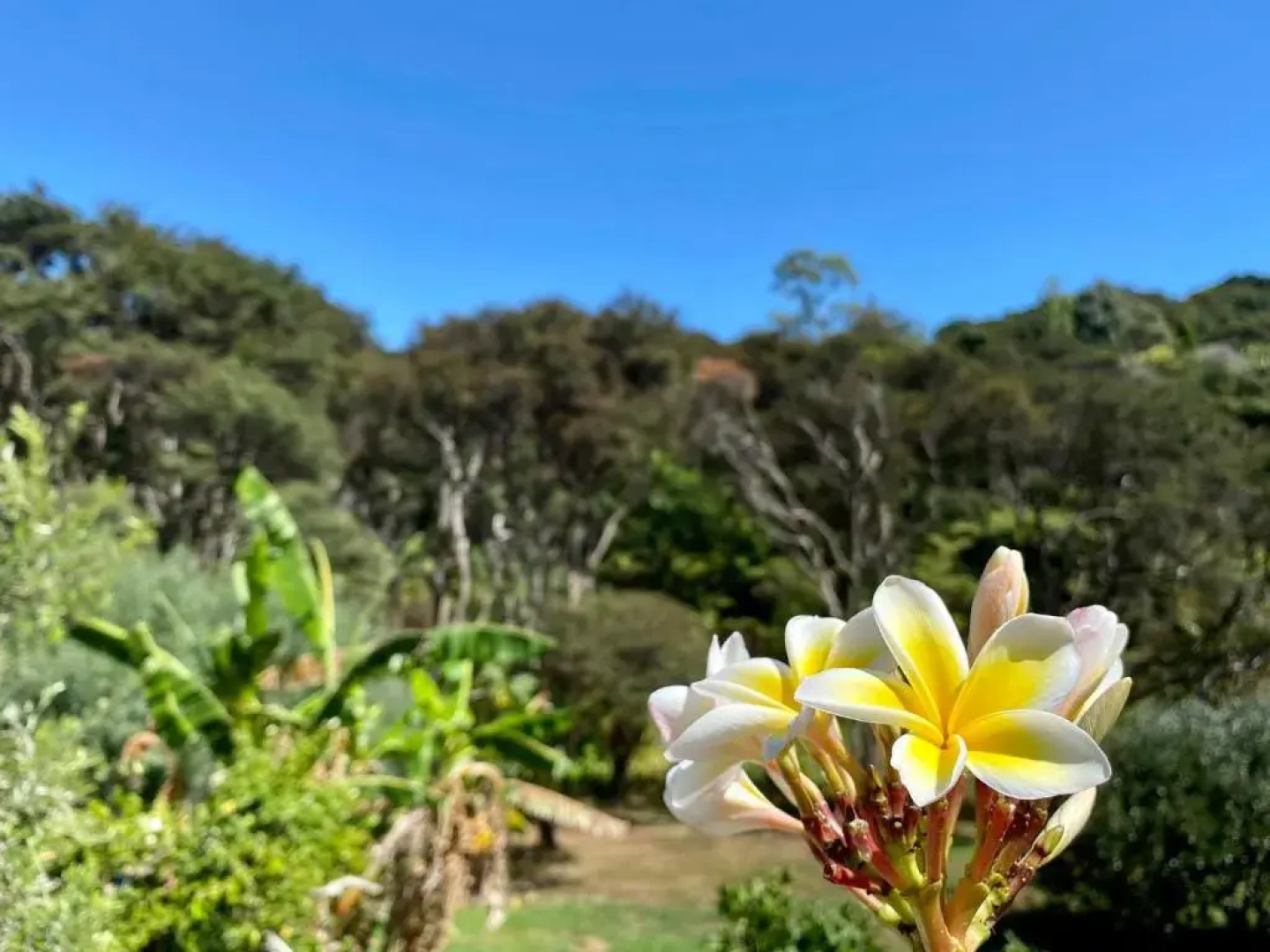 Waiheke Island Guesthouse
