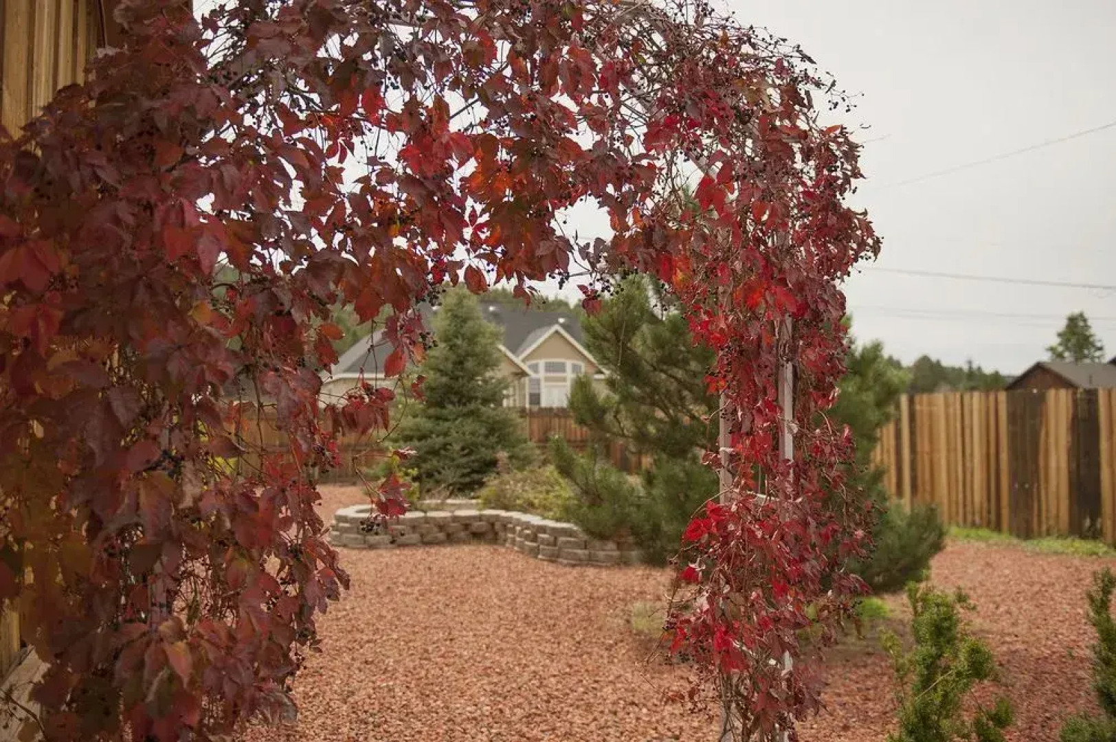 Grand Canyon Bed and Breakfast