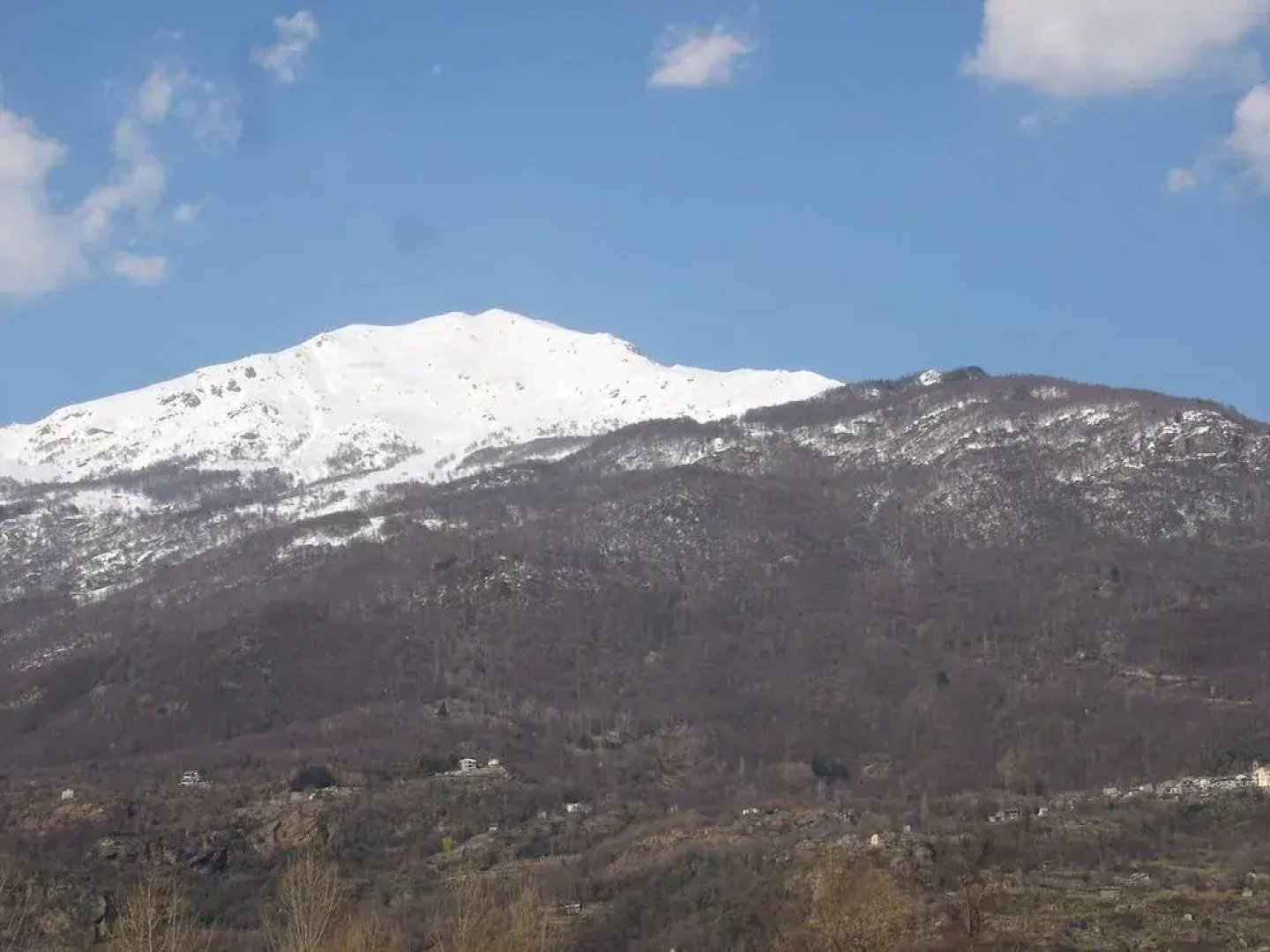 B&B L'Albero Maestro