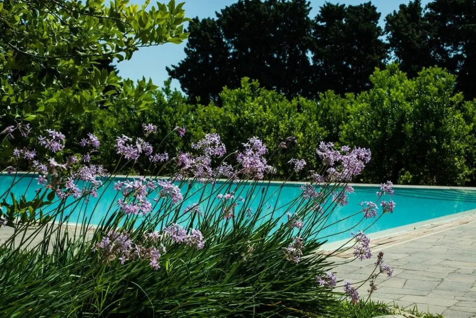 Agriturismo Chiusa di Carlo