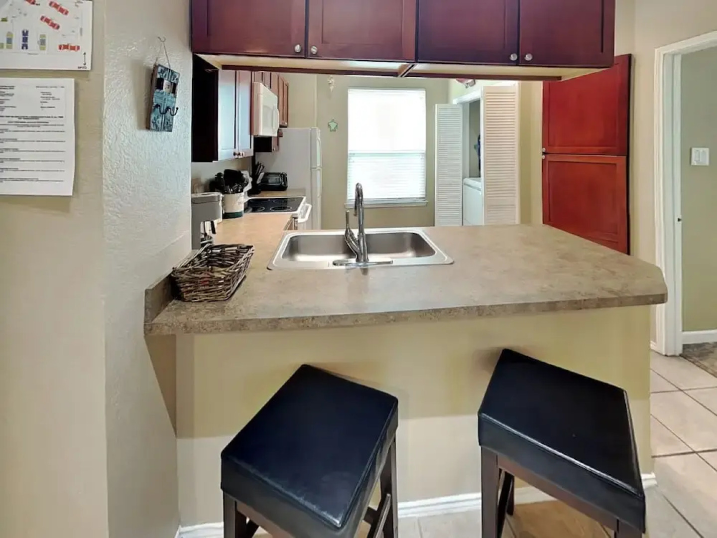 Npi146-the Lazy Turtle