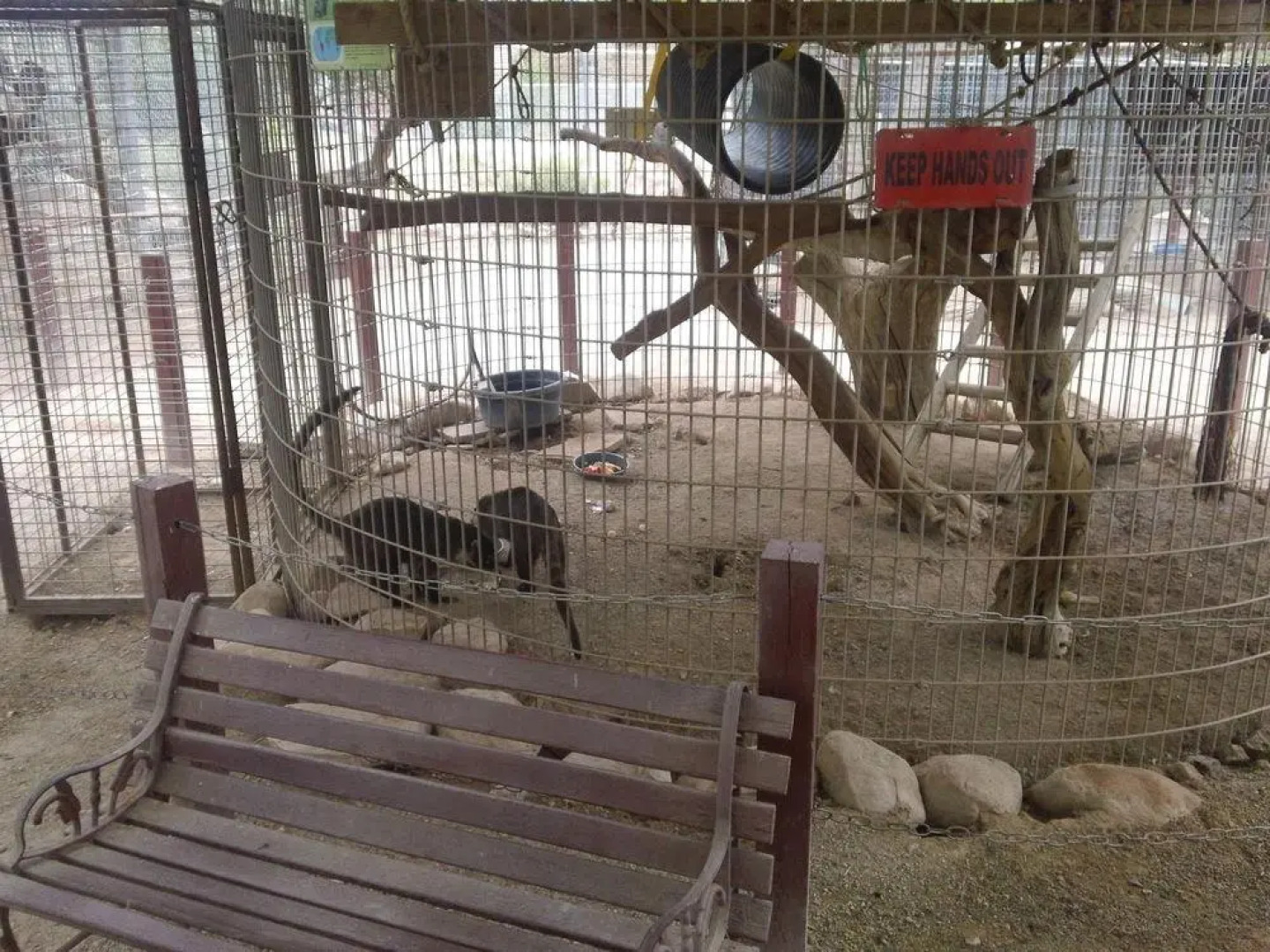 Bonnie Springs Ranch Motel