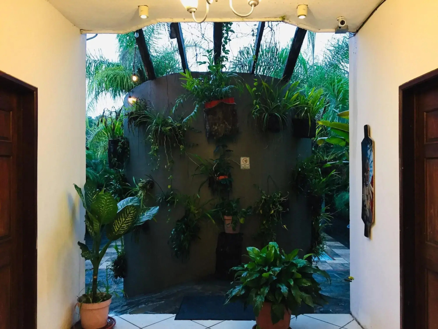 Camino Surreal Xilitla