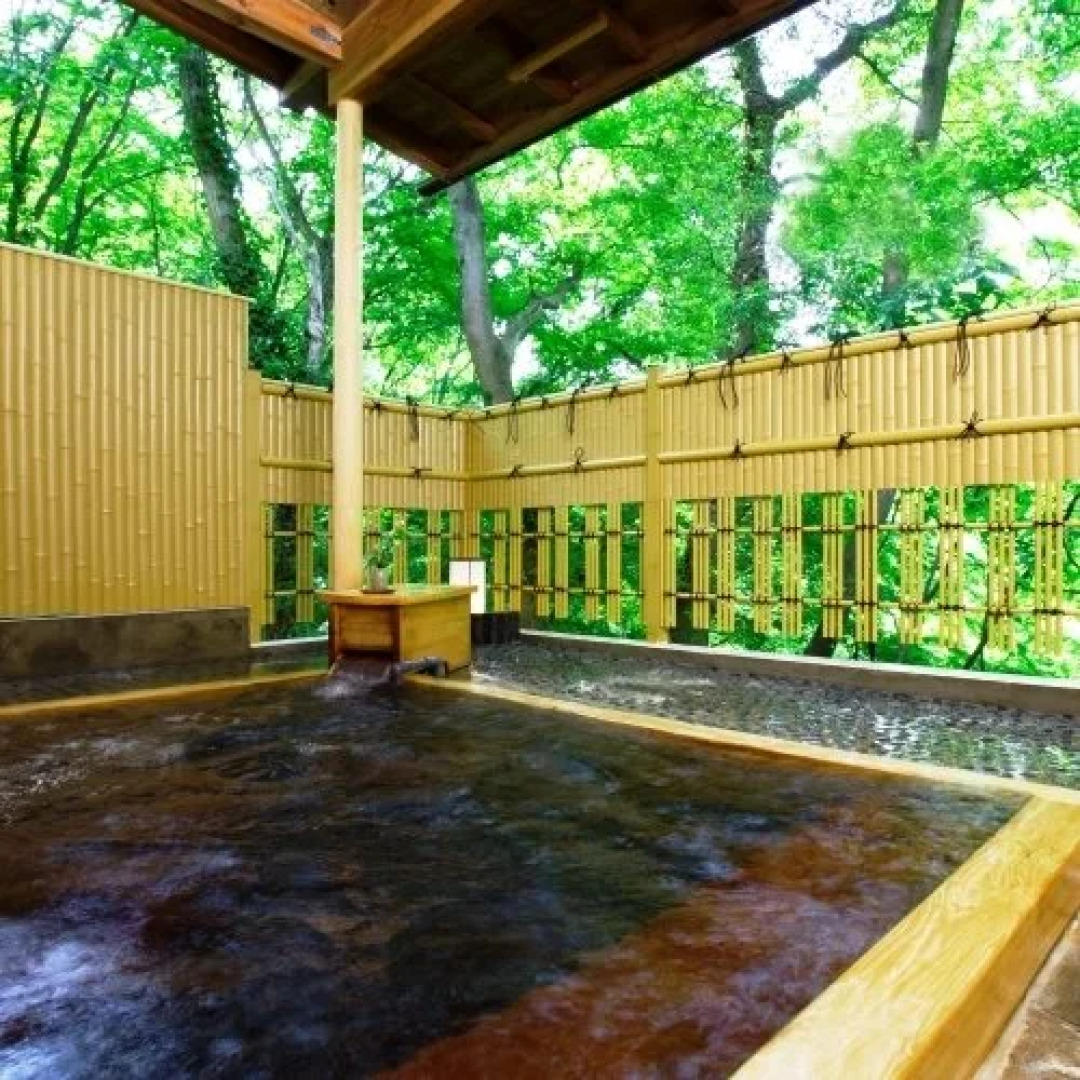Maruyamakousen Ryokan