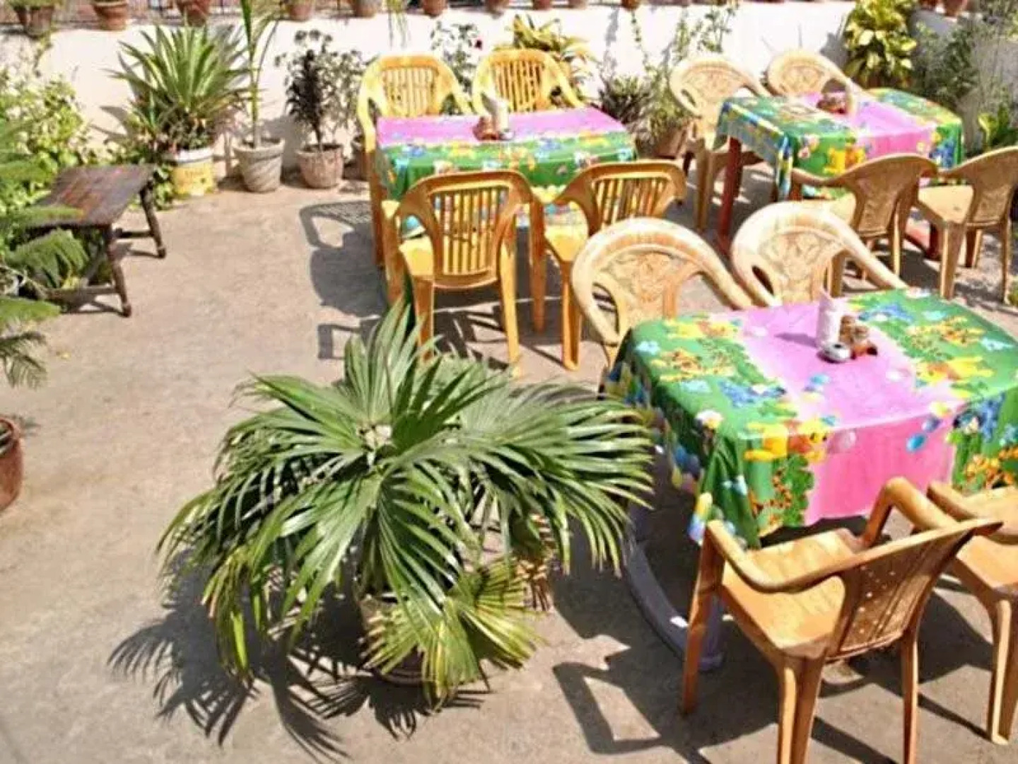 Elvis Guest House