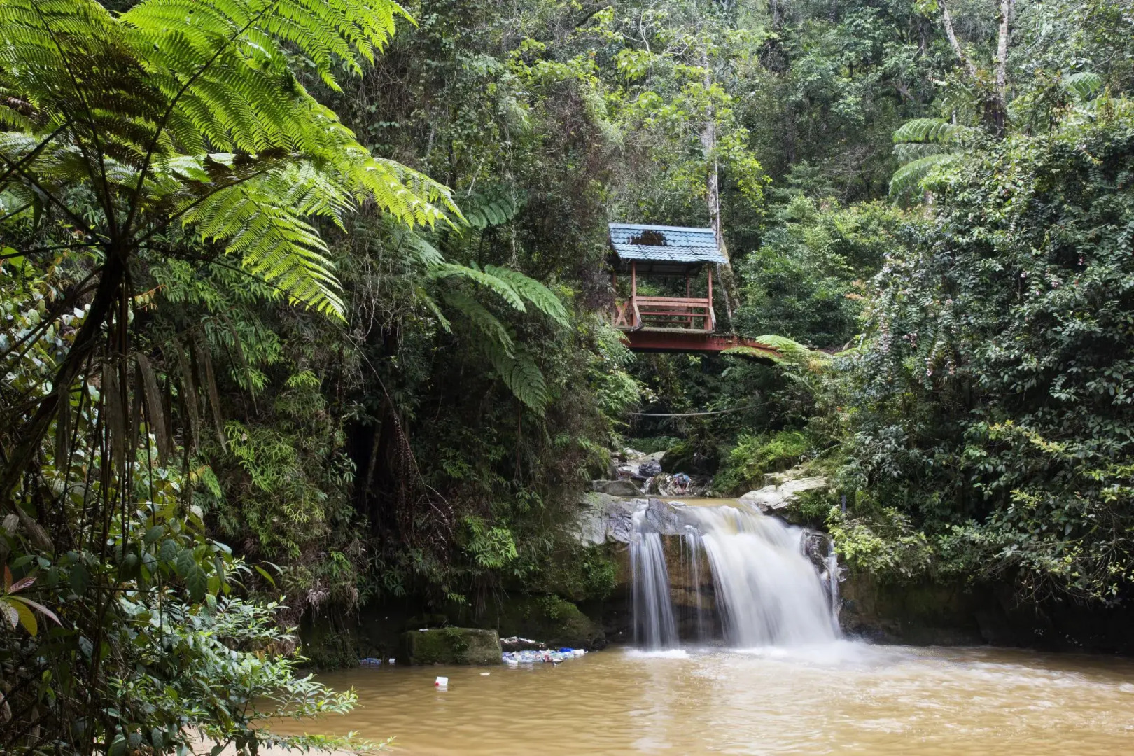 Cameron Golden Hills Resort