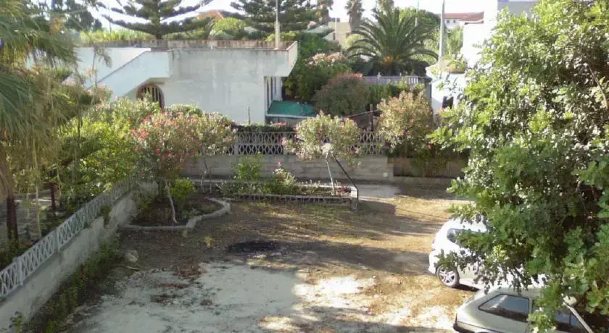 Frescura Tra i Carrubi