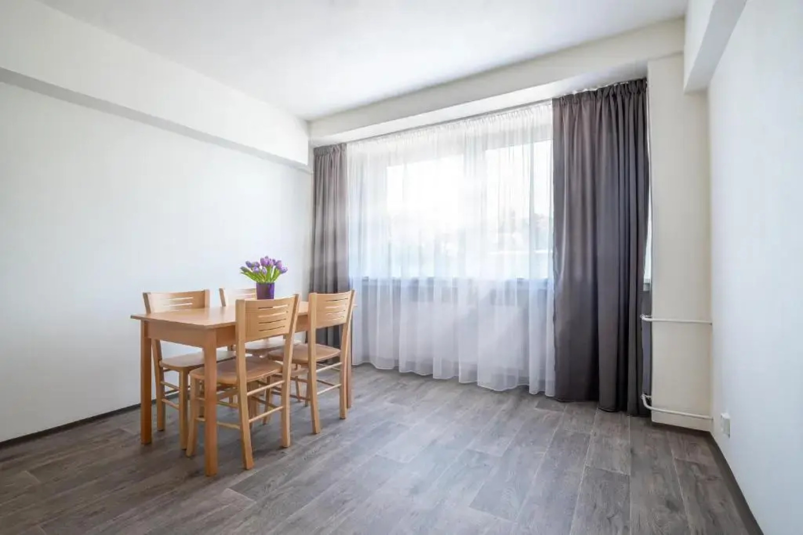 Apartmany a Studia Zamecky park