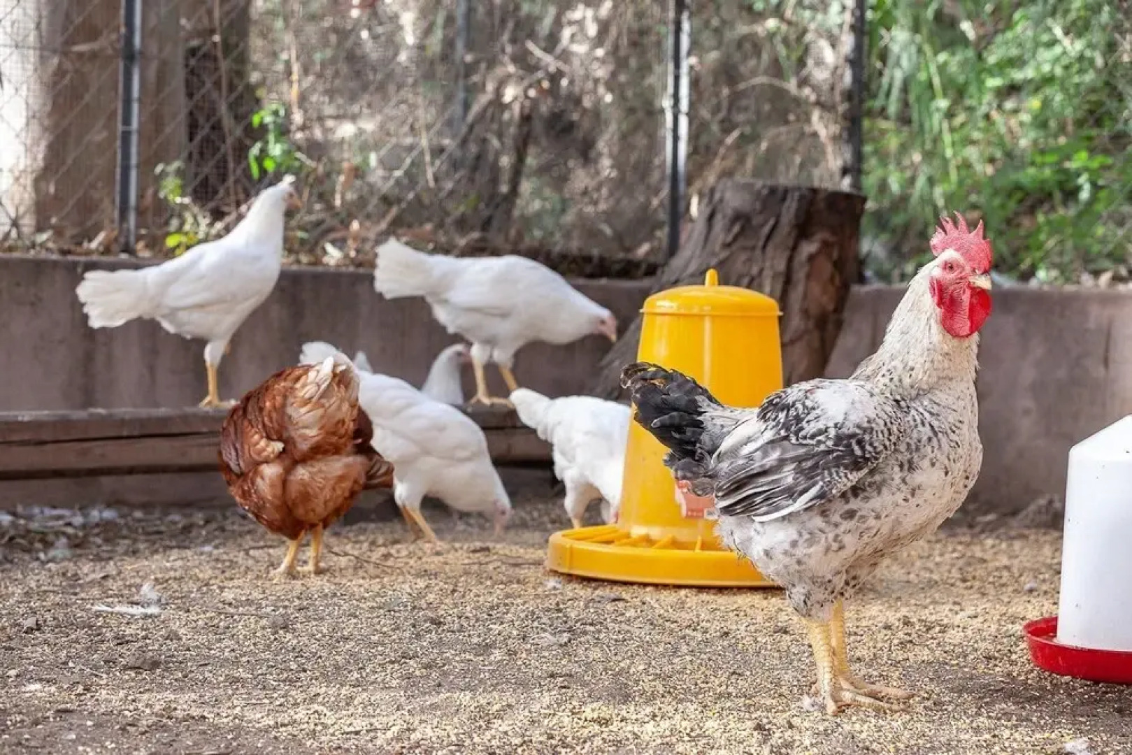 Casa Nanitta Maison de Charme