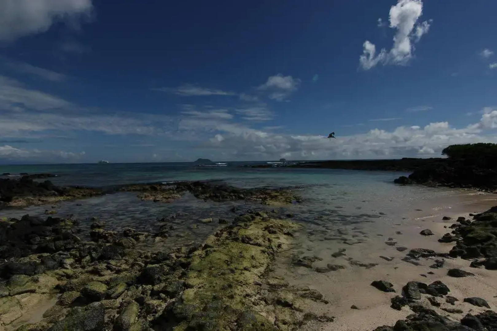 Lava Lizard Guesthouse