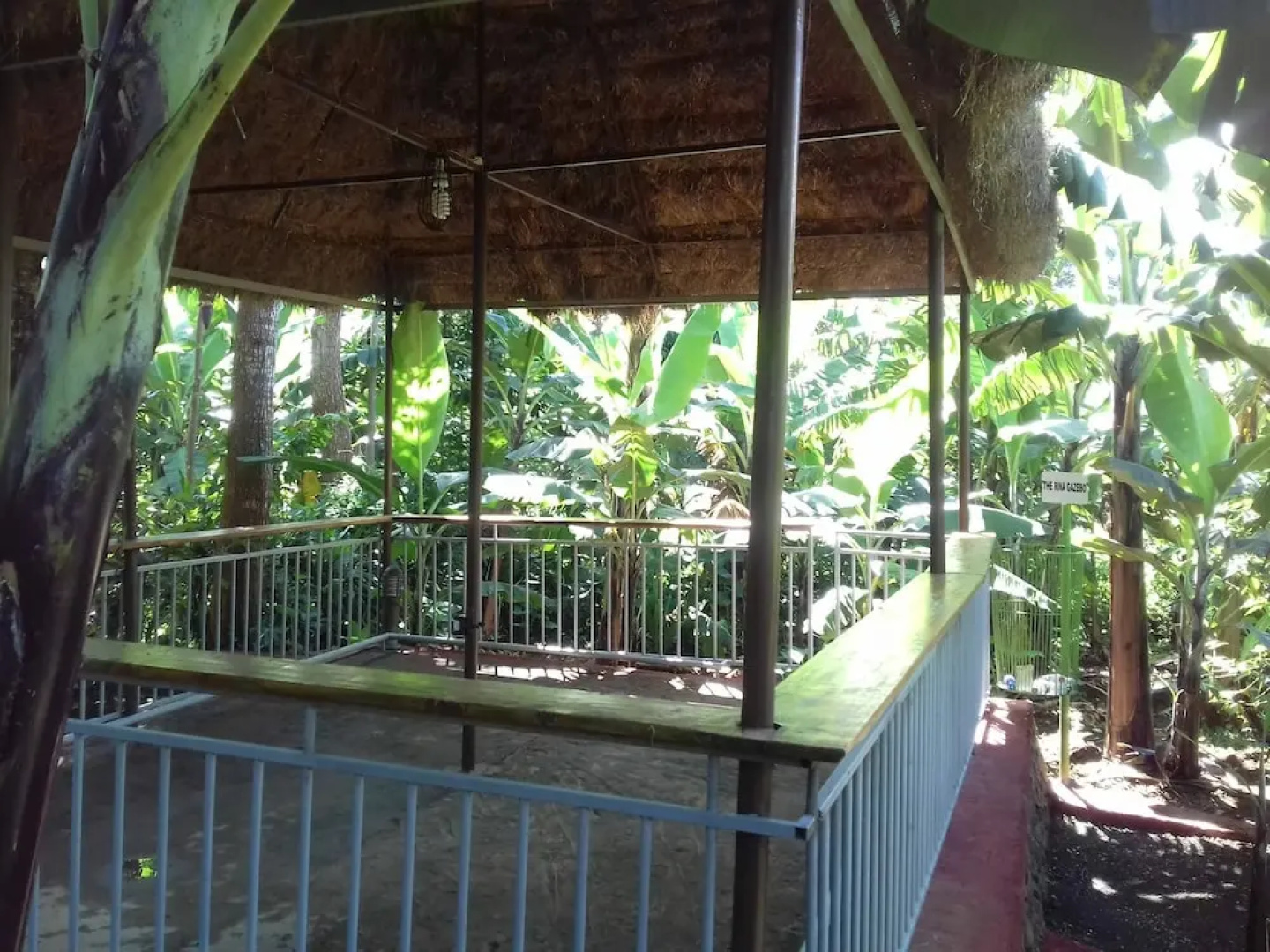 Doctor Se Temu Rest House