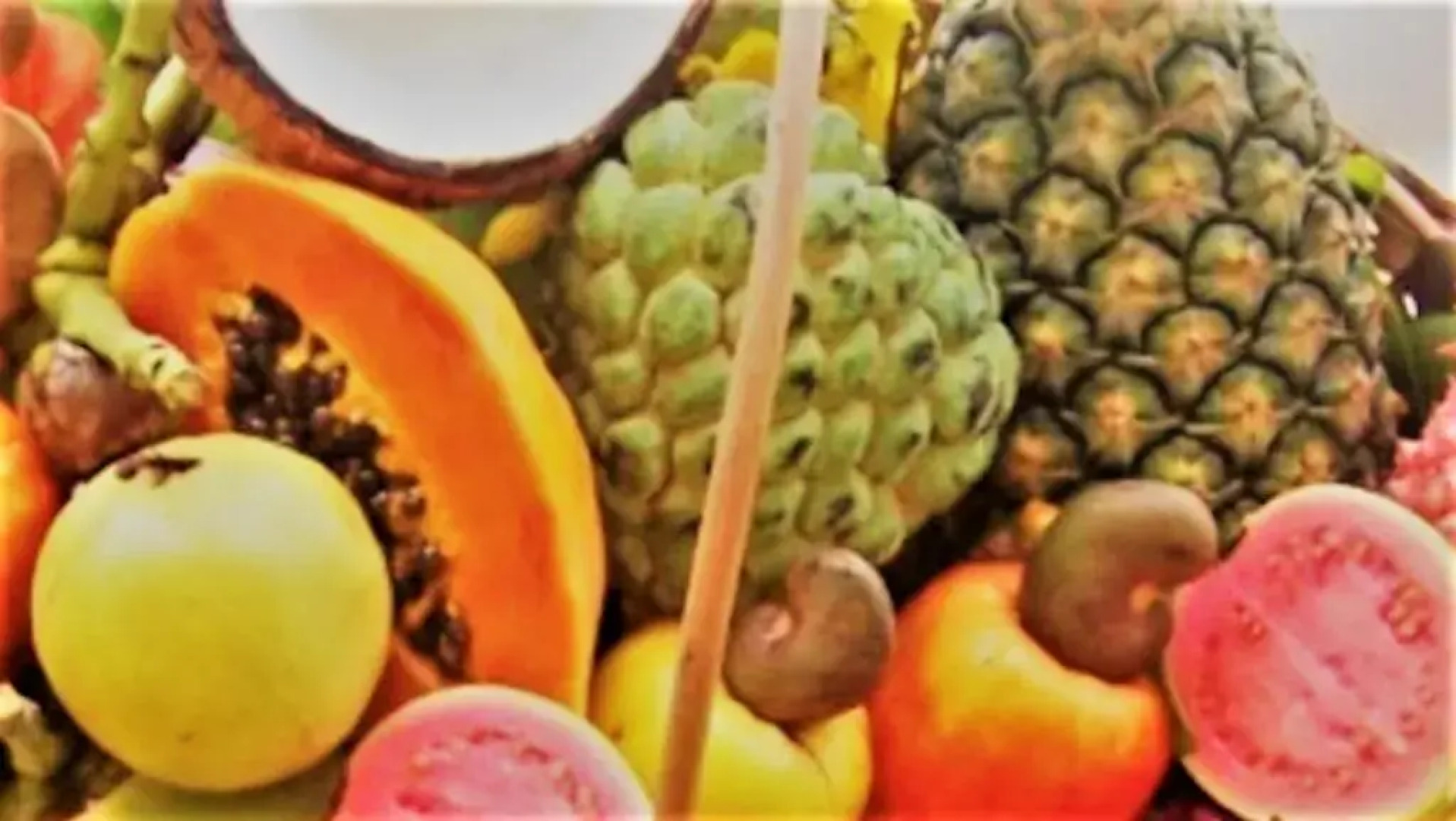 Paradise Beach House