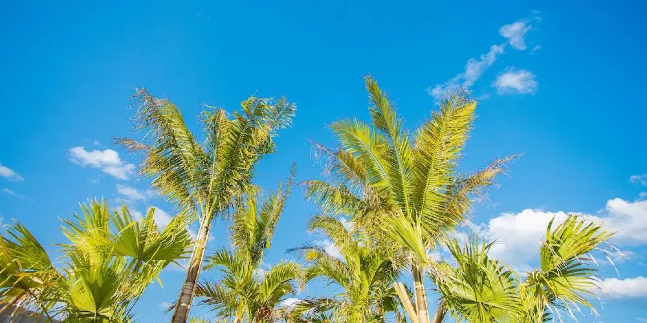 Glamtech Resorts Heaven