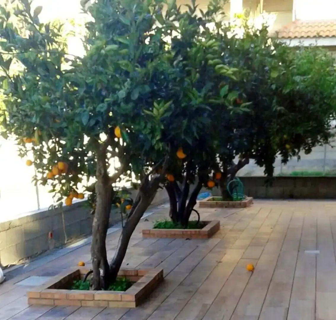 Apartment With 3 Bedrooms in Marina di Gioiosa Ionica, With Furnished