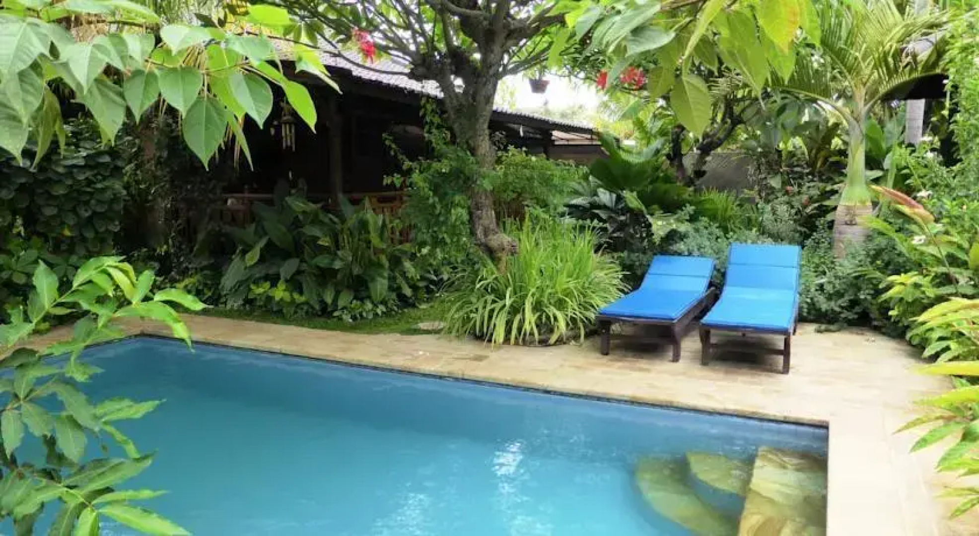 Lovina Beach Houses V