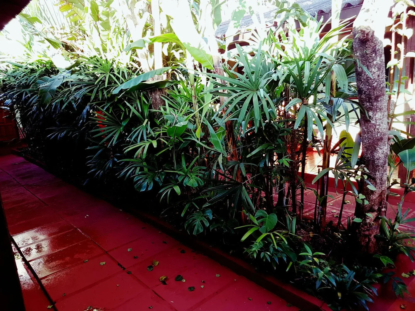 Hosteria Los Helechos