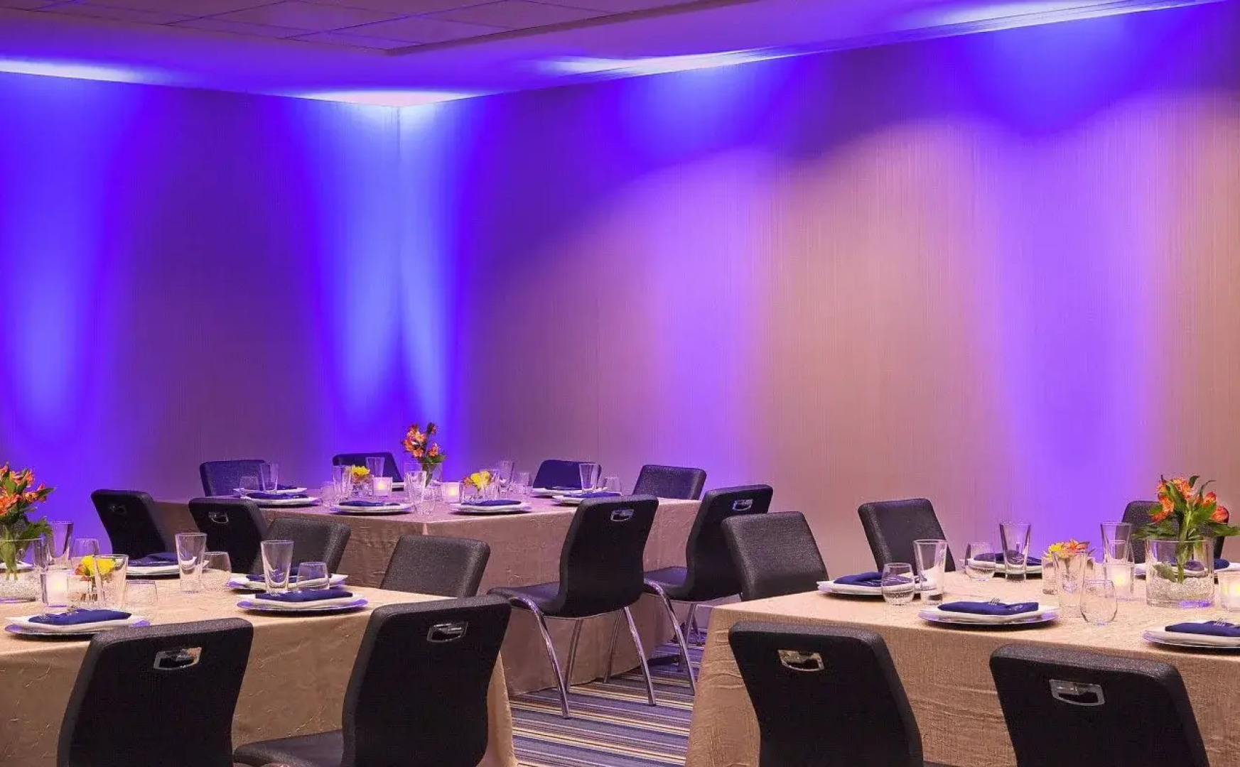 Aloft Tucson University