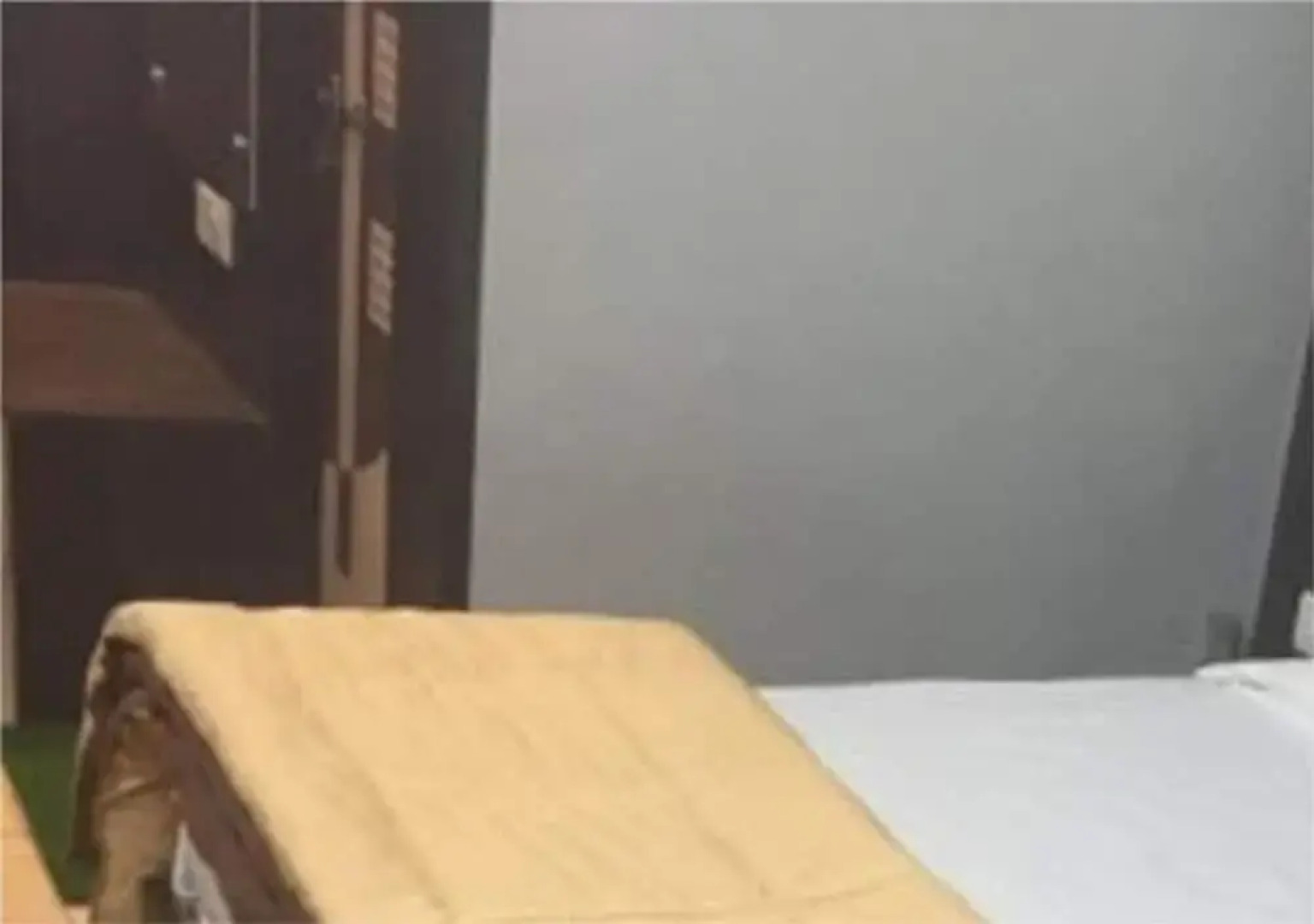 Shridevi Hotels & Suites