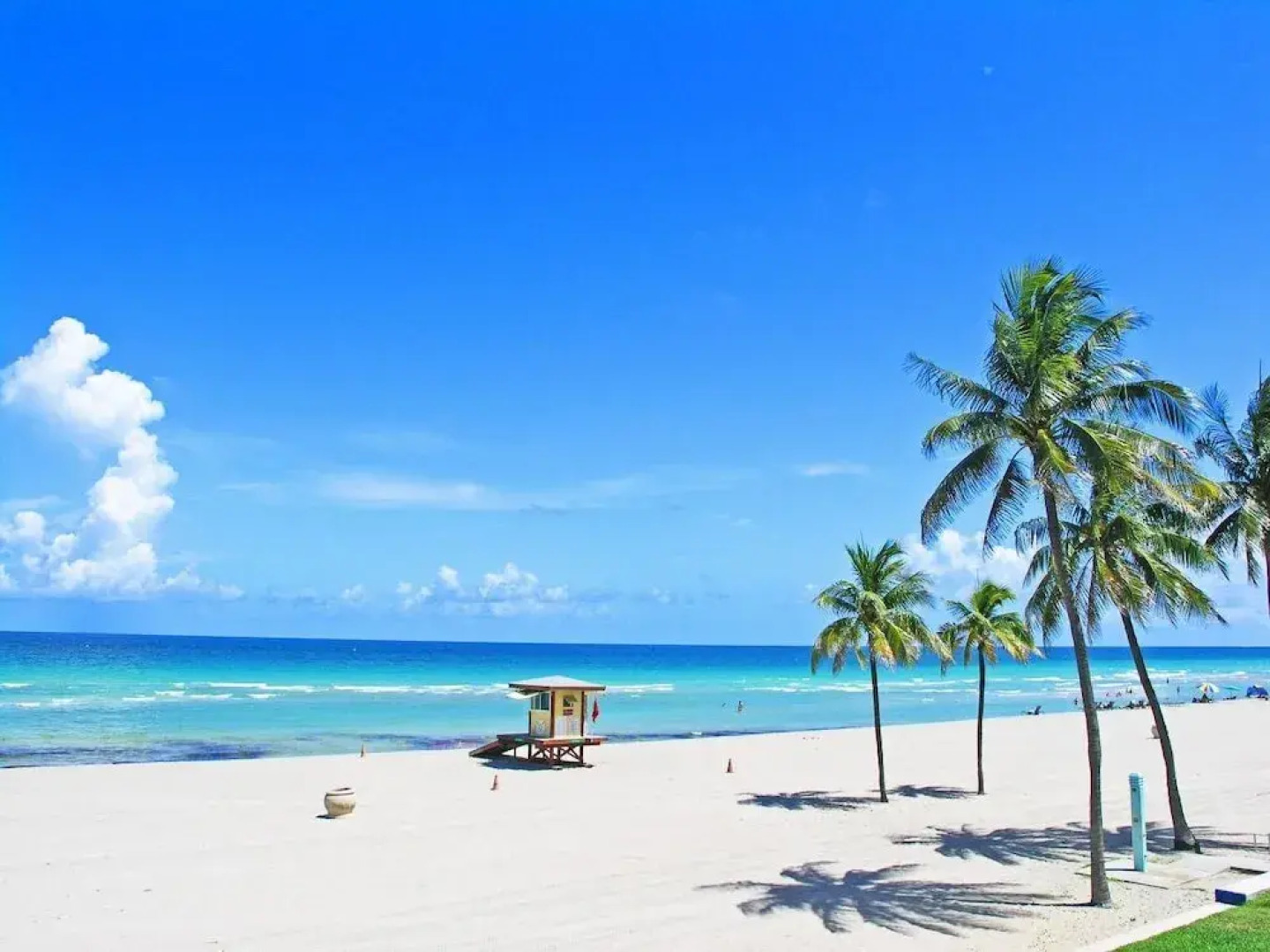 Gorgeous 1br apartment, a walk from the Beach