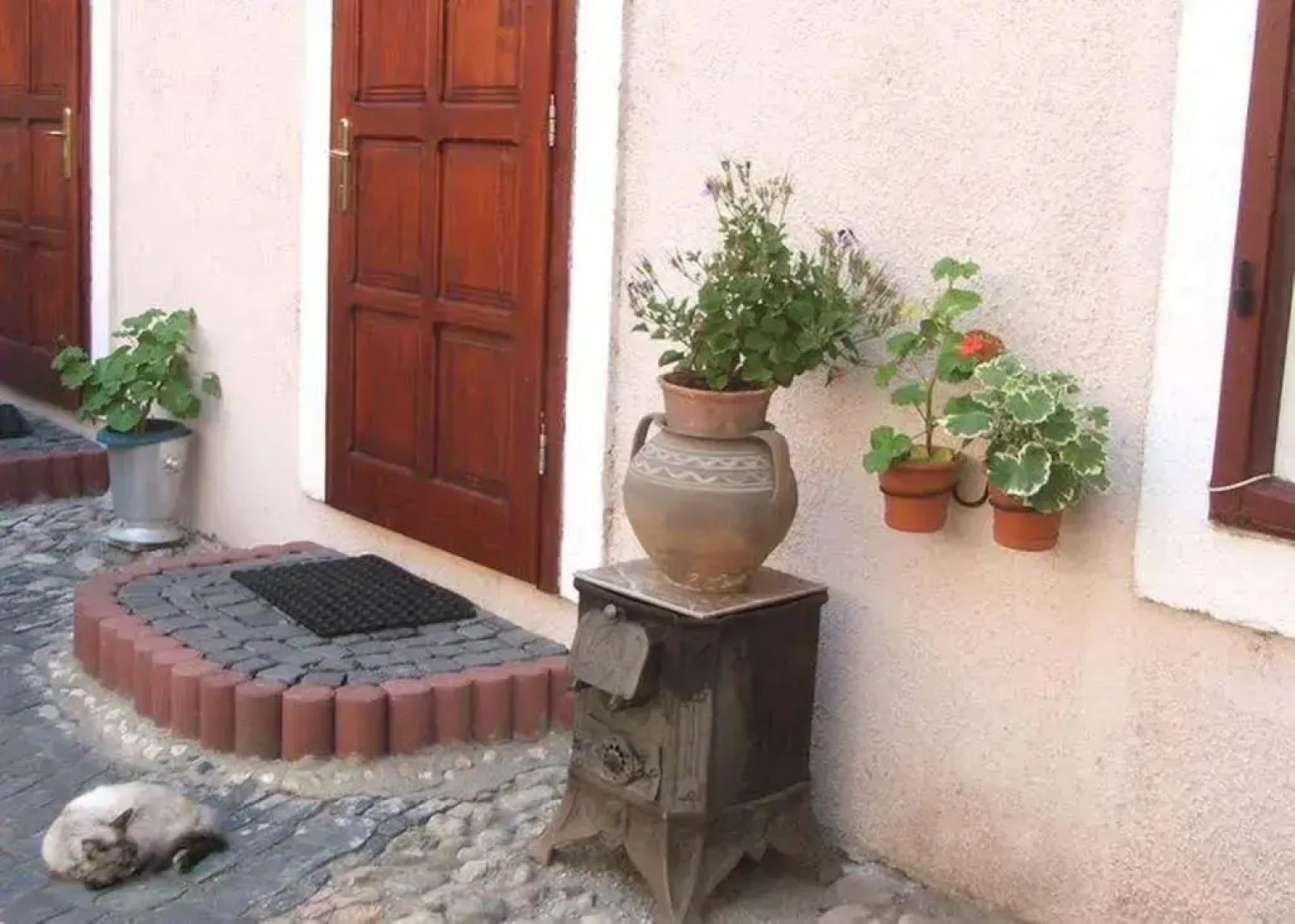 Guesthouse Casa Baciu