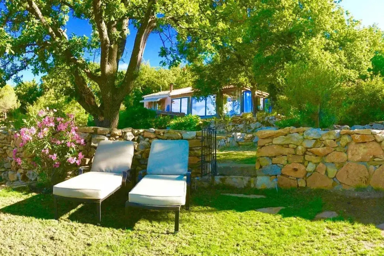 Wild Boar Mountain - France