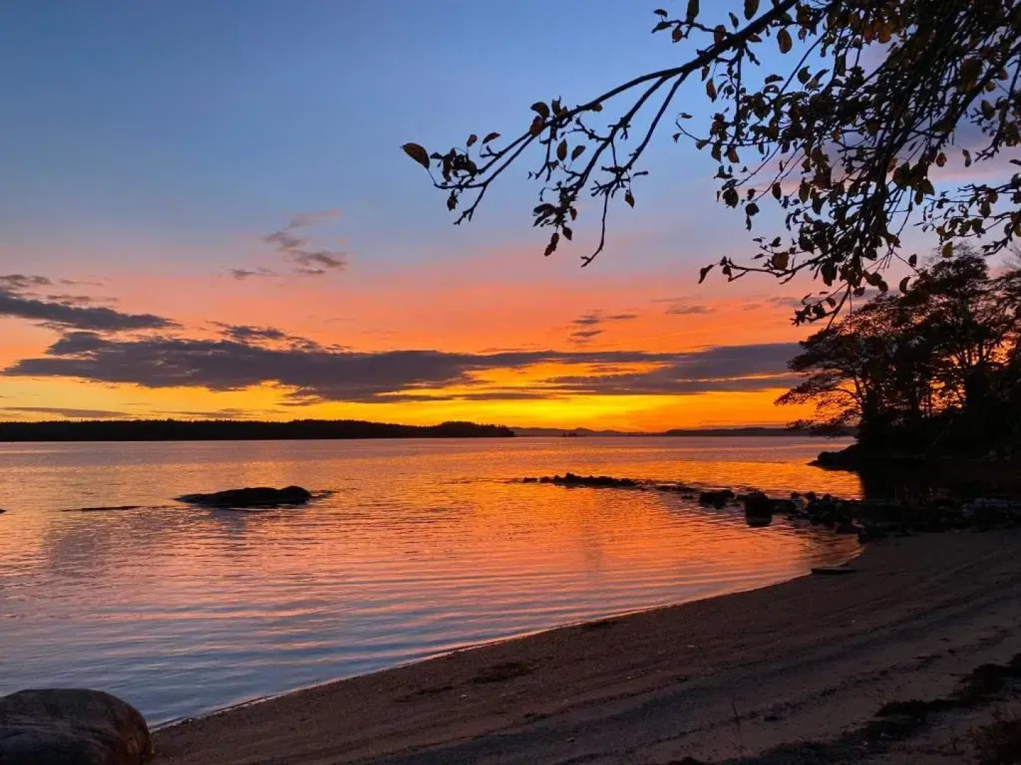 Oakland House Cottages by The Side of The Sea