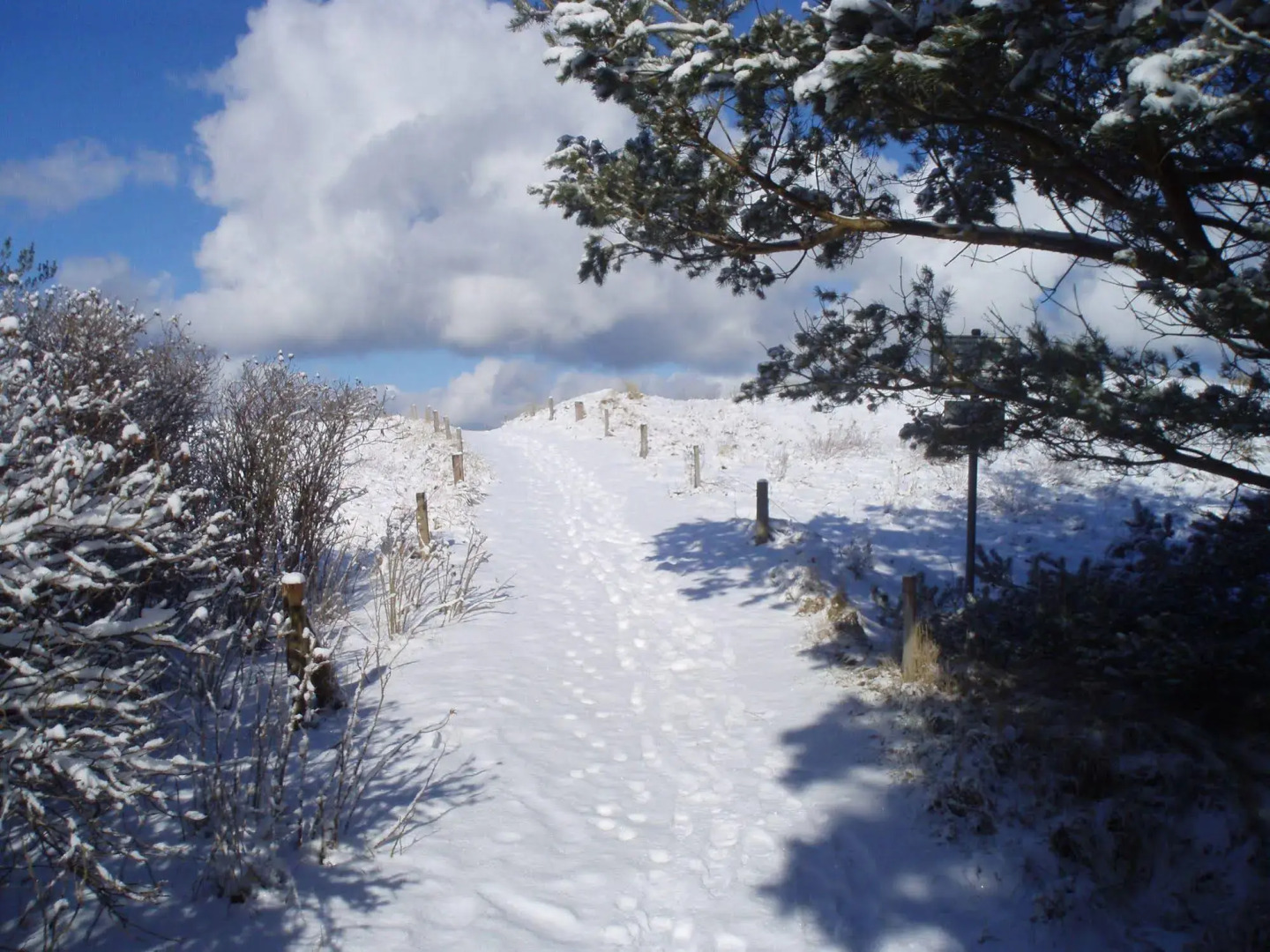 Strandhotel Fischland