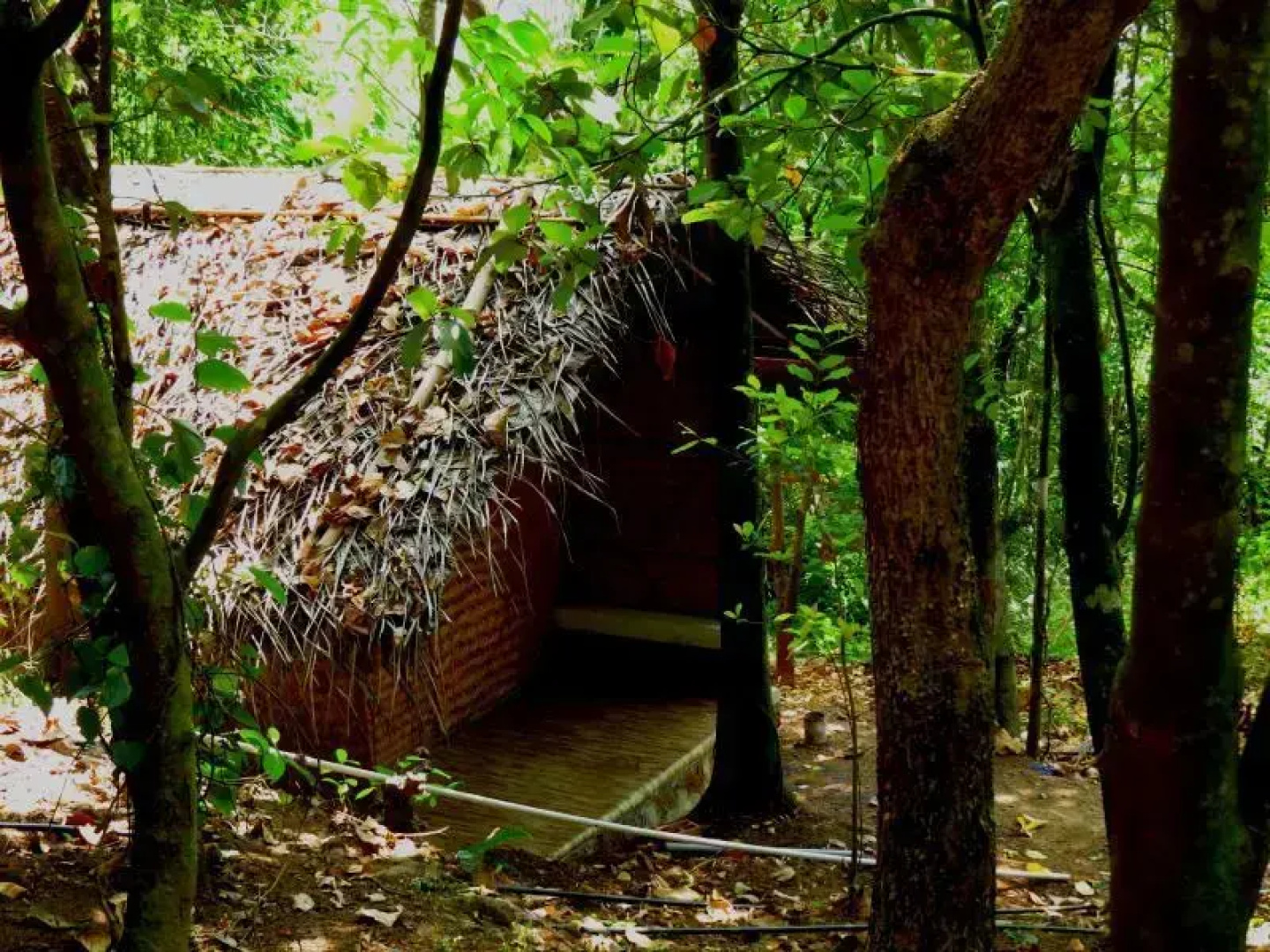Regina Silva Camping & Nature Resort