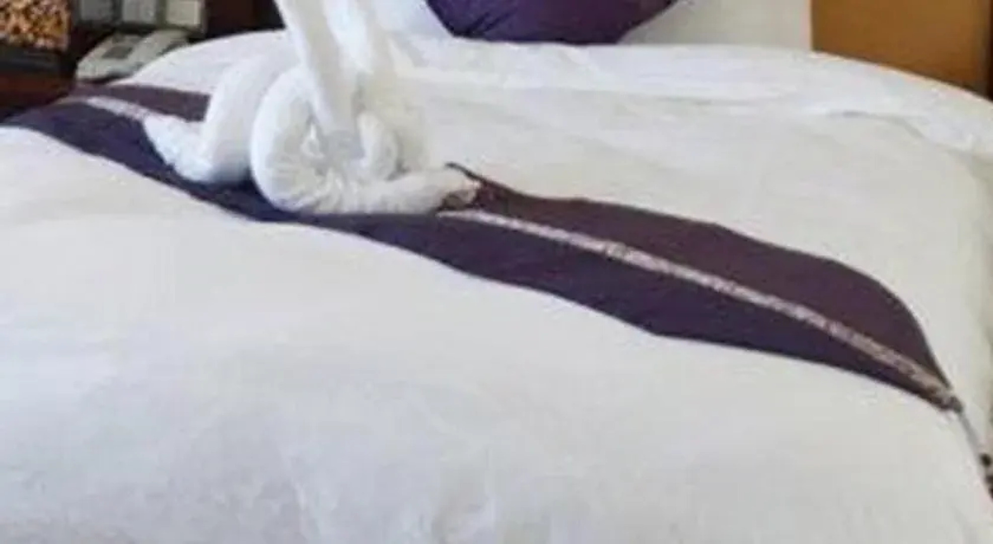 Boutique Garden Hotel