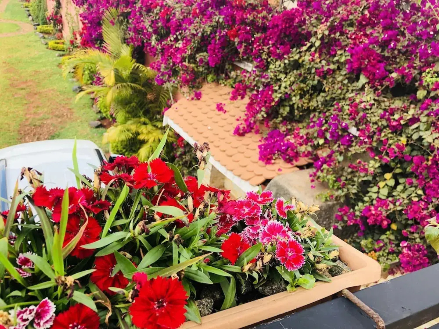 Petite Flower Guest House