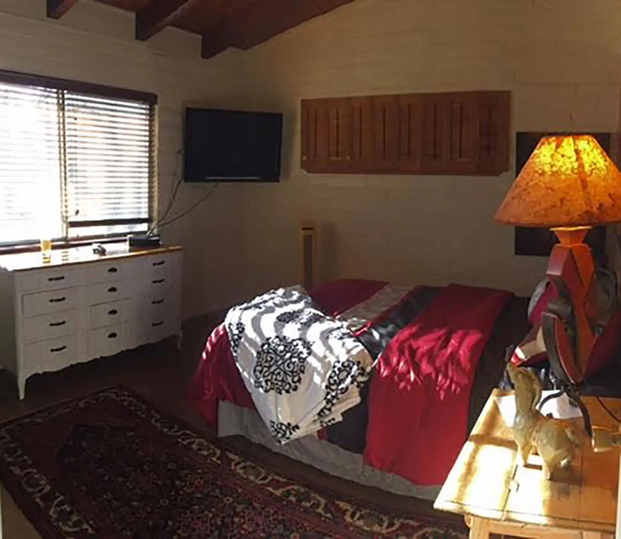 Freedom on the Go Ranch