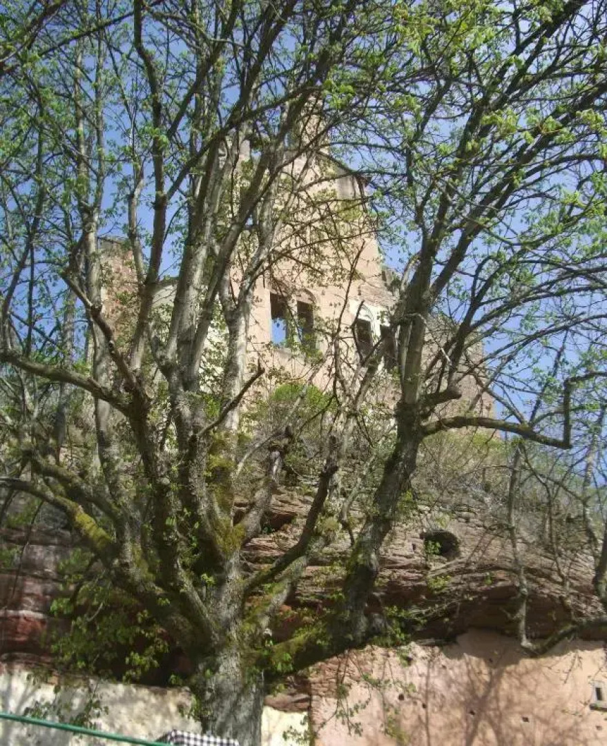 Hotel-Restaurant Burg-Ramstein