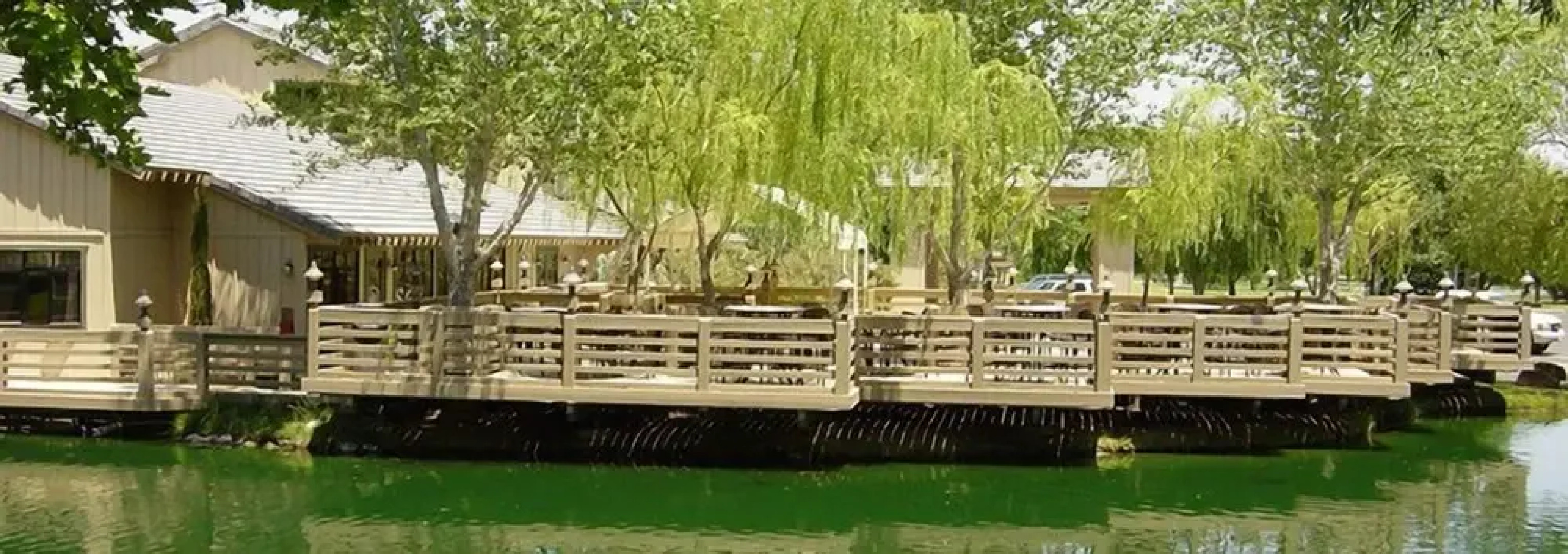 Silver Saddle Ranch & Club