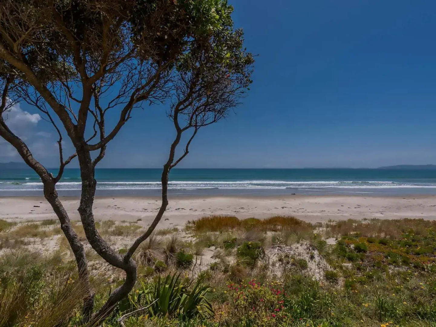 Beachfront Hideaway - Matarangi Holiday Home